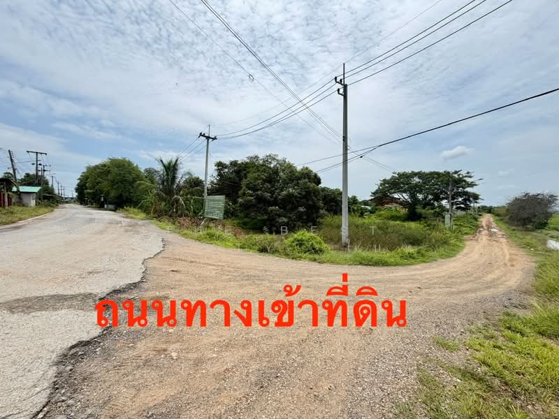 ที่ดินอินทร์บุรี สิงห์บุรี, สิงห์บุรี, โพธิ์ชัย, อินทร์บุรี, สิงห์บุรี, 61,888 ตร.ม., ที่ดิน ขาย, โดย The Best Property ใบหม่อน, 500444905 - DDproperty.com