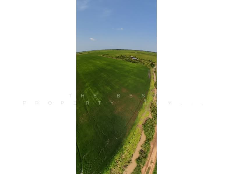 ที่ดินอินทร์บุรี สิงห์บุรี, Sing Buri, Pho-Chai, In Buri, Sing Buri, , 61,888 sqm, Land For Sale, by The Best Property  ใบหม่อน, 500444905 - DDproperty.com