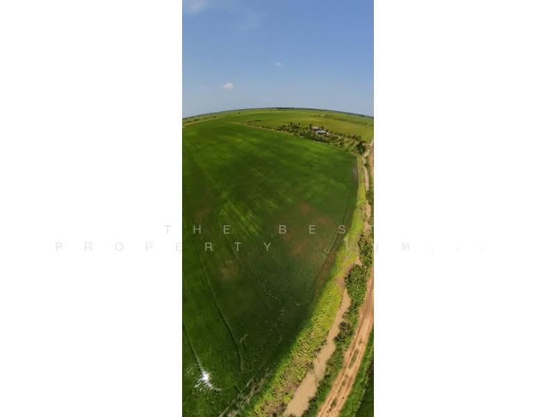 ที่ดินอินทร์บุรี สิงห์บุรี, Sing Buri, Pho-Chai, In Buri, Sing Buri, , 61,888 sqm, Land For Sale, by The Best Property  ใบหม่อน, 500444905 - DDproperty.com