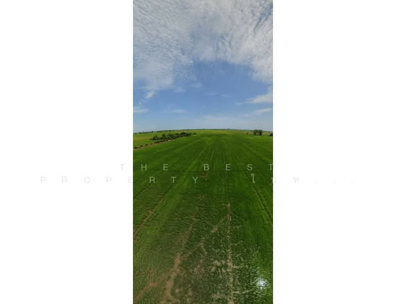 ที่ดินอินทร์บุรี สิงห์บุรี, Sing Buri, Pho-Chai, In Buri, Sing Buri, , 61,888 sqm, Land For Sale, by The Best Property  ใบหม่อน, 500444905 - DDproperty.com