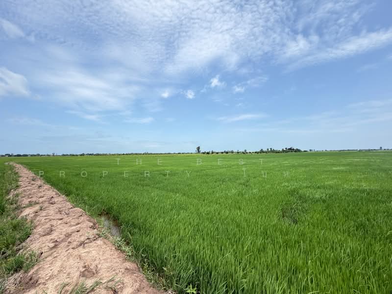 ที่ดินอินทร์บุรี สิงห์บุรี, Sing Buri, Pho-Chai, In Buri, Sing Buri, , 61,888 sqm, Land For Sale, by The Best Property  ใบหม่อน, 500444905 - DDproperty.com