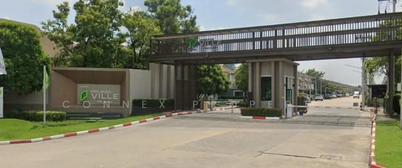 Pruksa Ville 106 Rangsit-Klong 2 : พฤกษาวิลล์ 106 รังสิต-คลองสอง, ปทุมธานี, ถนนรังสิต-นครนายก (ช่วงคลองสอง), ประชาธิปัตย์, ธัญบุรี, ปทุมธานี, 115 ตร.ม., ทาวน์เฮ้าส์ ให้เช่า, โดย Connex Property, 500444909 - DDproperty.com