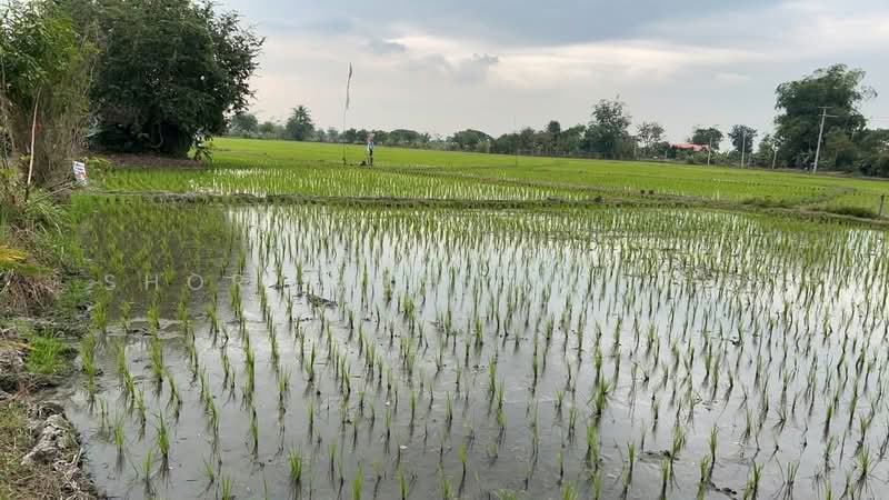 Mae Rim land, Chiang Mai, San Pong, Mae Rim, Chiang Mai, , 80,588 sqm, Land For Sale, by Shori Asset Group Co., Ltd., 500444986 - DDproperty.com
