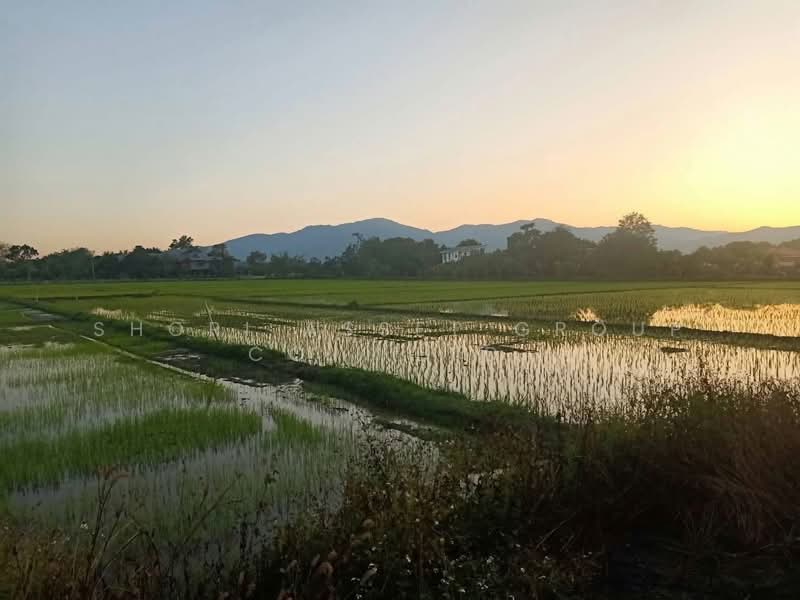 Mae Rim land, Chiang Mai, San Pong, Mae Rim, Chiang Mai, , 80,588 sqm, Land For Sale, by Shori Asset Group Co., Ltd., 500444986 - DDproperty.com