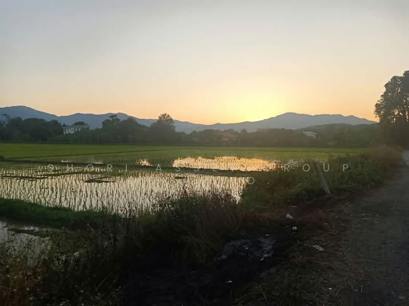 Mae Rim land, Chiang Mai, San Pong, Mae Rim, Chiang Mai, , 80,588 sqm, Land For Sale, by Shori Asset Group Co., Ltd., 500444986 - DDproperty.com