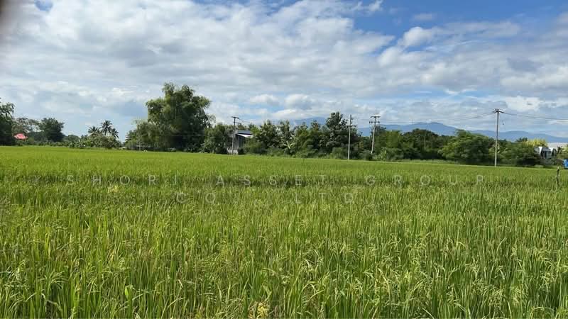 ที่ดินแม่ริม, เชียงใหม่, สันโป่ง, แม่ริม, เชียงใหม่, 80,588 ตร.ม., ที่ดิน ขาย, โดย Shori Asset Group Co., Ltd., 500444986 - DDproperty.com
