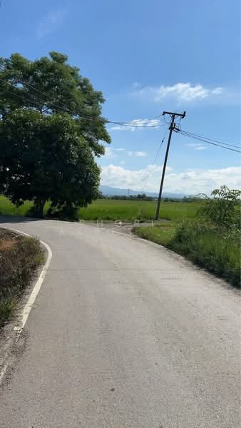 ที่ดินแม่ริม, เชียงใหม่, สันโป่ง, แม่ริม, เชียงใหม่, 80,588 ตร.ม., ที่ดิน ขาย, โดย Shori Asset Group Co., Ltd., 500444986 - DDproperty.com