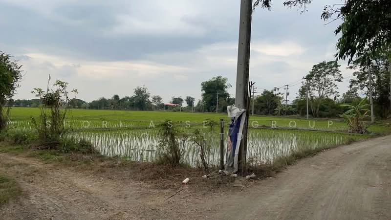 Mae Rim land, Chiang Mai, San Pong, Mae Rim, Chiang Mai, , 80,588 sqm, Land For Sale, by Shori Asset Group Co., Ltd., 500444986 - DDproperty.com