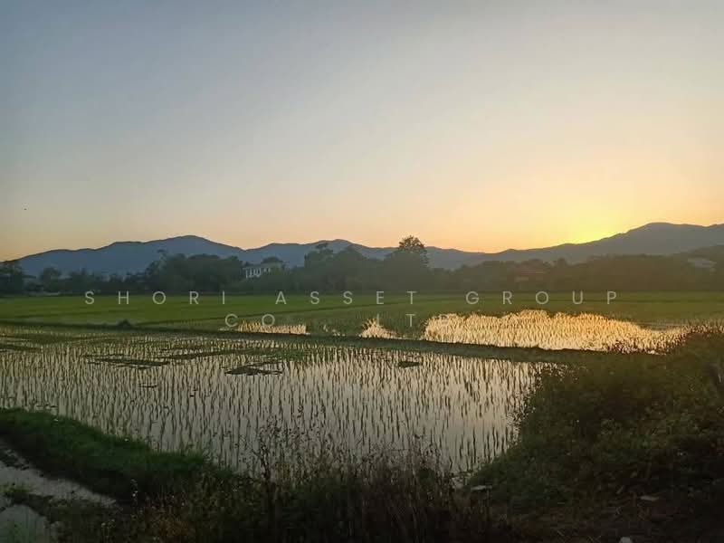 Mae Rim land, Chiang Mai, San Pong, Mae Rim, Chiang Mai, , 80,588 sqm, Land For Sale, by Shori Asset Group Co., Ltd., 500444986 - DDproperty.com