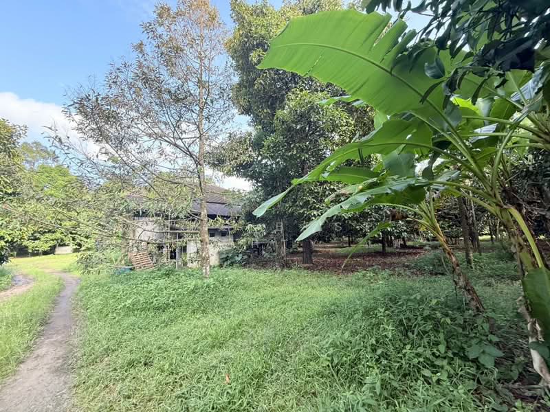 ที่ดินพร้อมสวนผลไม้พลับพลา จันทบุรี, จันทบุรี, พลับพลา, เมืองจันทบุรี, จันทบุรี, 8,060 ตร.ม., ที่ดิน ขาย, โดย The Best Property แมว, 500444997 - DDproperty.com