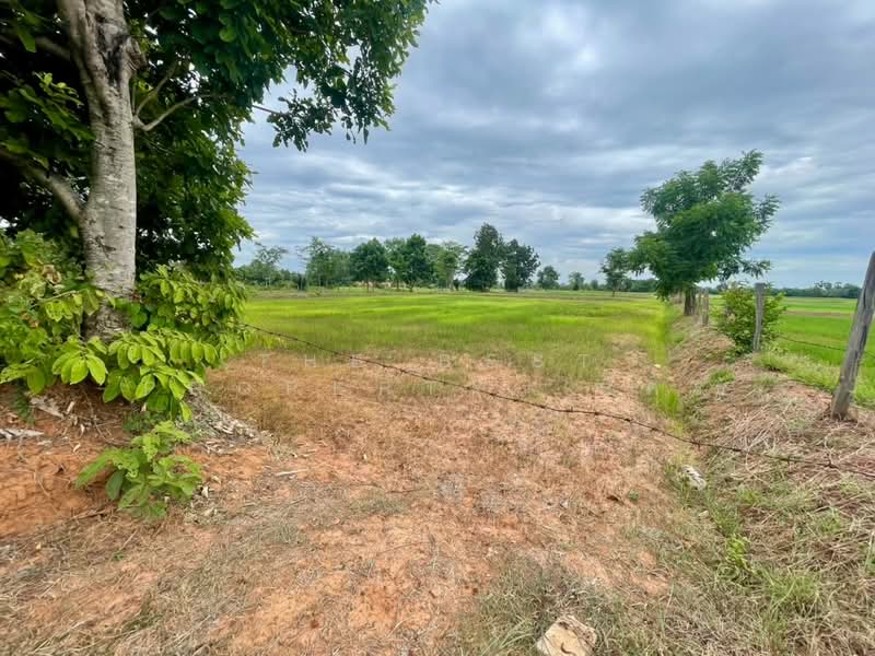 ที่ดินบ้านไผ่ ขอนแก่น, Khon Kaen, Ban Phai, Khon Kaen, , 22,560 sqm, Land For Sale, by The Best Property อัคร, 500445244 - DDproperty.com