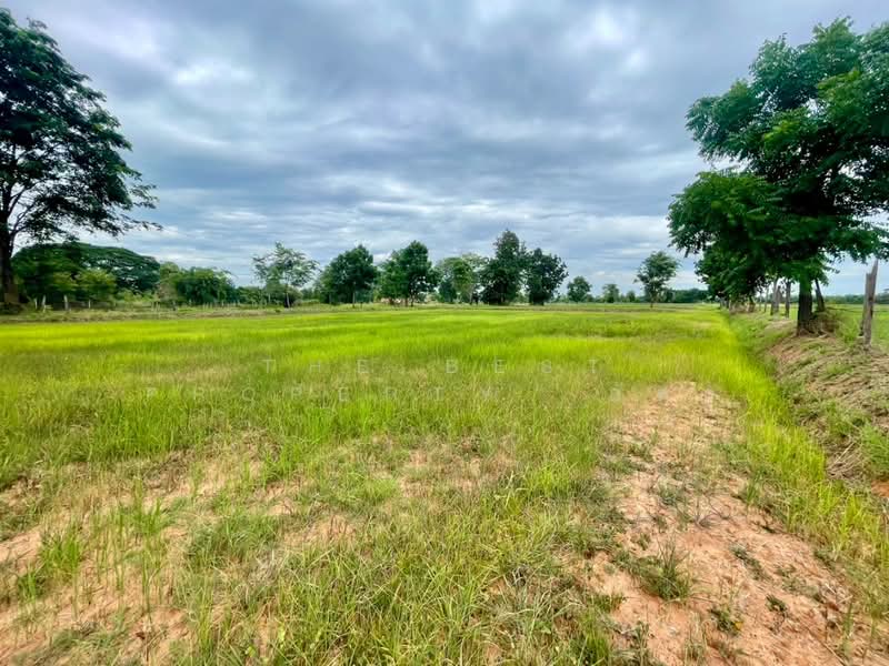 ที่ดินบ้านไผ่ ขอนแก่น, Khon Kaen, Ban Phai, Khon Kaen, , 22,560 sqm, Land For Sale, by The Best Property อัคร, 500445244 - DDproperty.com