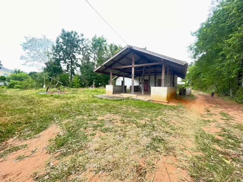 ที่ดินบ้านไผ่ ขอนแก่น, ขอนแก่น, บ้านไผ่, ขอนแก่น, 22,560 ตร.ม., ที่ดิน ขาย, โดย The Best Property  อัคร, 500445244 - DDproperty.com
