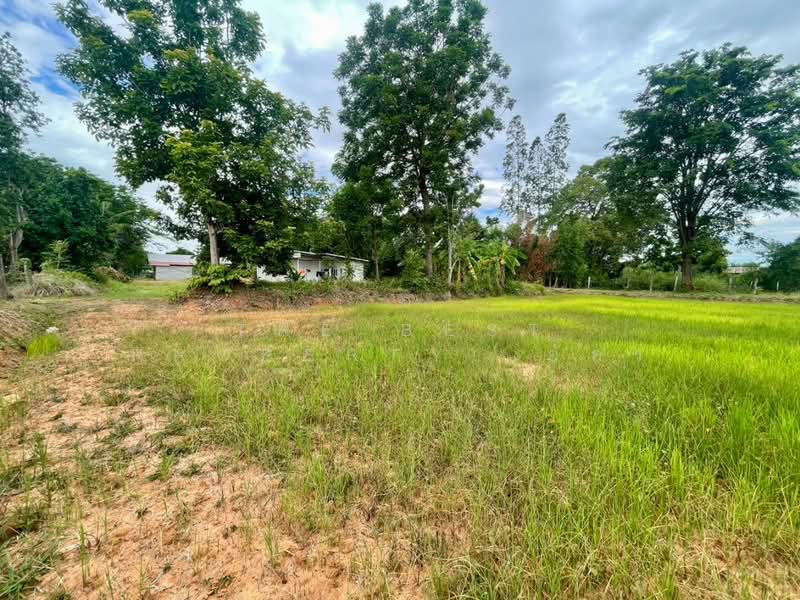 ที่ดินบ้านไผ่ ขอนแก่น, Khon Kaen, Ban Phai, Khon Kaen, , 22,560 sqm, Land For Sale, by The Best Property อัคร, 500445244 - DDproperty.com