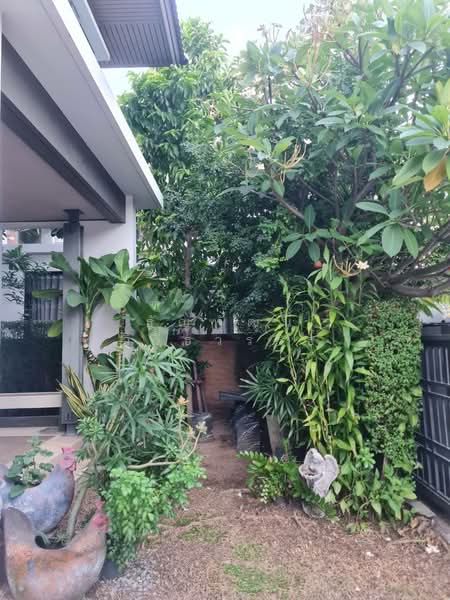 Burasiri Ratchaphruek - 345 : บุราสิริ ราชพฤกษ์ - 345, นนทบุรี, 54/317 ถนนราชพฤกษ์, คลองข่อย, ปากเกร็ด, นนทบุรี, 160 ตร.ม., บ้านเดี่ยว ขาย, โดย ธัญพัฒน์ วิวิธวรรธ์, 500445265 - DDproperty.com