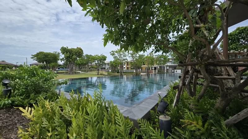 Burasiri Ratchaphruek - 345 : บุราสิริ ราชพฤกษ์ - 345, นนทบุรี, 54/317 ถนนราชพฤกษ์, คลองข่อย, ปากเกร็ด, นนทบุรี, 160 ตร.ม., บ้านเดี่ยว ขาย, โดย ธัญพัฒน์ วิวิธวรรธ์, 500445265 - DDproperty.com