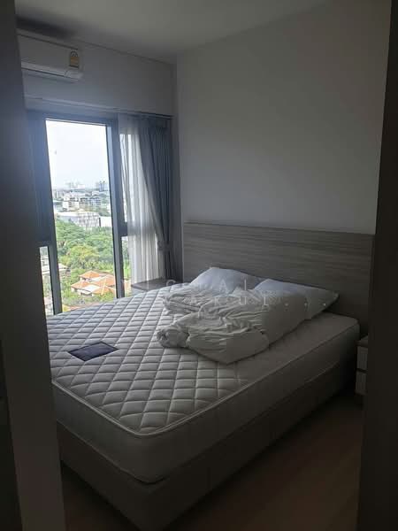 Whizdom Connect Sukhumvit : วิสซ์ดอม คอนเนค สุขุมวิท, กรุงเทพ, 1 ซอยปิยบุตร์ 1 ถนนสุขุมวิท, บางนา, กรุงเทพ, 43 ตร.ม., คอนโด ให้เช่า, โดย Vichai Annavakulthorn, 500445285 - DDproperty.com