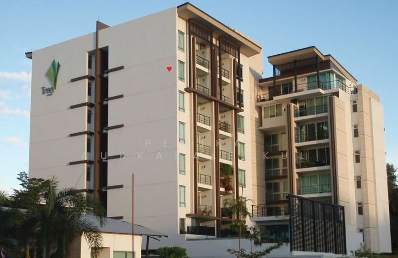 Tree Condo Sukhumvit 52, Bangkok, Soi SuKhumvit 52, Bang Chak, Phra Khanong, Bangkok, 1 Bedroom, 59 sqm, Condo For Sale, by Pemika Aukkaraleekul, 500445471 - DDproperty.com