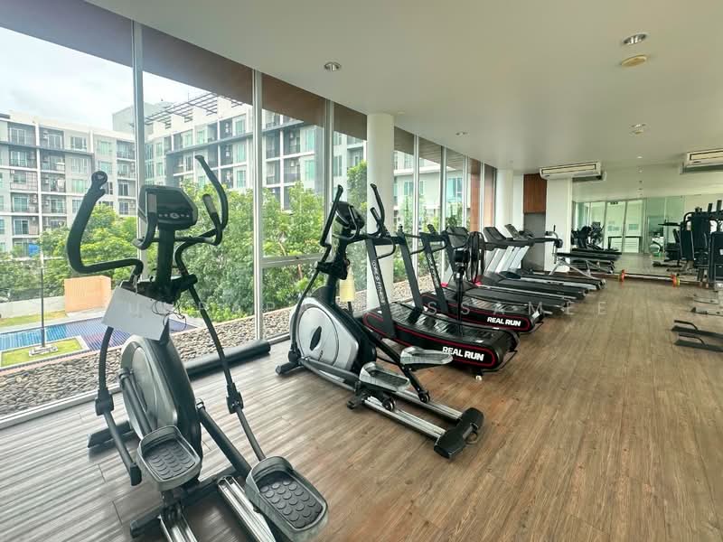 Serrano Condominium : เซอราโน่ คอนโดมิเนียม, กรุงเทพ, ถนนพระราม2, แสมดำ, บางขุนเทียน, กรุงเทพ, 32 ตร.ม., คอนโด ขาย, โดย Punpapa Rassamee, 500445499 - DDproperty.com