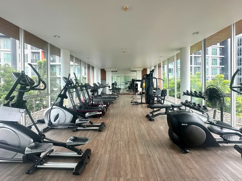 Serrano Condominium : เซอราโน่ คอนโดมิเนียม, กรุงเทพ, ถนนพระราม2, แสมดำ, บางขุนเทียน, กรุงเทพ, 32 ตร.ม., คอนโด ขาย, โดย Punpapa Rassamee, 500445499 - DDproperty.com