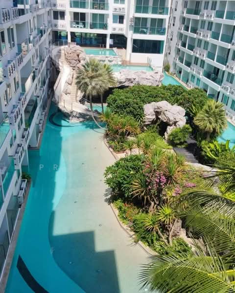 Amazon Residence Pattaya : อเมซอน เรสซิเดนซ์ พัทยา, ชลบุรี, ถนนบุณย์กัญจนา 5, หนองปรือ, บางละมุง, ชลบุรี, 40 ตร.ม., คอนโด ให้เช่า, โดย Praveen Prabhat Peter, 500445730 - DDproperty.com
