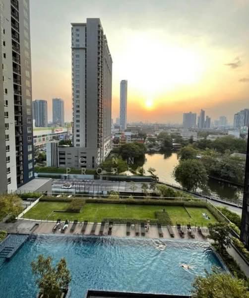 The Base Sukhumvit 77 : เดอะ เบส สุขุมวิท 77, กรุงเทพ, 289 ถนนสุขุมวิท 77, พระโขนงเหนือ, วัฒนา, กรุงเทพ, 30 ตร.ม., คอนโด ให้เช่า, โดย Connex Property, 500446000 - DDproperty.com