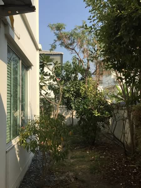 Moobaan Chollada Suvarnabhumi, Samut Prakan, Sri Waree Noi Road, Srisa Chorakhe Noi, Bang Sao Thong, Samut Prakan, 3 Bedrooms, 21 sqm, Single Detached House For Rent, by Connex Property, 500446024 - DDproperty.com