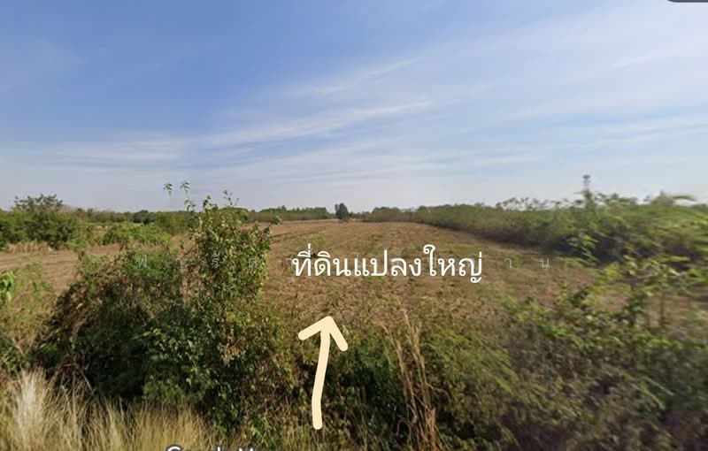 ขายที่ดินเพชรบูรณ์ แปลงใหญ่ 25-1-33.9 ไร่ อำเภอเมือง ตำบลนางั่ว ติดถนนสาย 21 ใกล้ทางขึ้นเขาค้อ, เพชรบูรณ์, นางั่ว, เมืองเพชรบูรณ์, เพชรบูรณ์, 40,536 ตร.ม., ที่ดิน ขาย, โดย ฟารีดา ไทปทาน, 500446058 - DDproperty.com