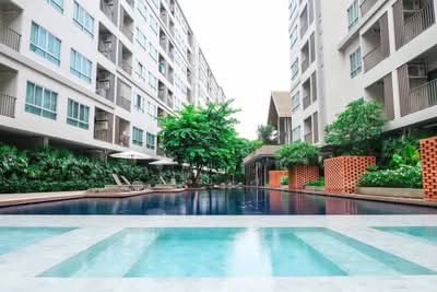 ขาย - Dcondo Rin : ดีคอนโด ริน, เชียงใหม่