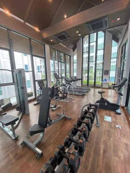 Dcondo Rin, Chiang Mai, Super Highway Rd. Chiang Mai - Lampang, Fa Ham, Muang Chiang Mai, Chiang Mai, 1 Bedroom, 33 sqm, Condo For Sale, by หทัยรัตน์ จรัสอุไรสิน, 500446132 - DDproperty.com