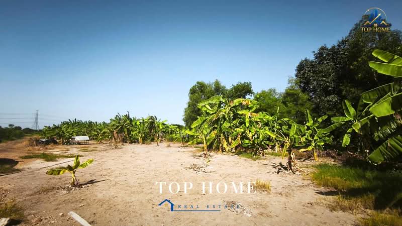 ขายที่ดินจัดสรรแปลงสวย ถมแล้ว 156 ตร.ว ตำบลบางเตย อำเภอสามโคก จังหวัดปทุมธานี, ปทุมธานี, บางเตย, สามโคก, ปทุมธานี, 624 ตร.ม., ที่ดิน ขาย, โดย คุณนับ, 500446169 - DDproperty.com