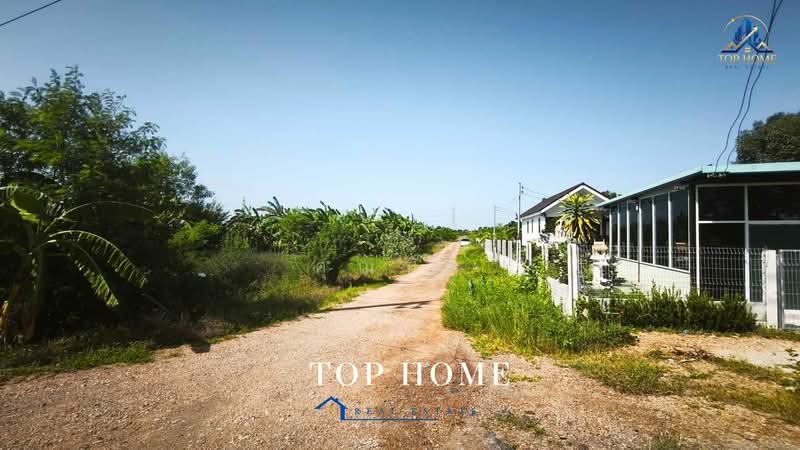 ขายที่ดินจัดสรรแปลงสวย ถมแล้ว 156 ตร.ว ตำบลบางเตย อำเภอสามโคก จังหวัดปทุมธานี, Pathum Thani, Bang Toei, Sam Khok, Pathum Thani, , 624 sqm, Land For Sale, by คุณนับ, 500446169 - DDproperty.com