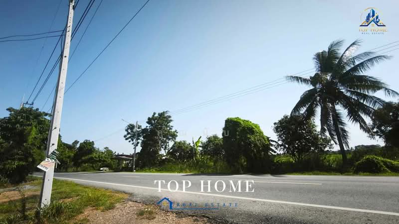 ขายที่ดินจัดสรรแปลงสวย ถมแล้ว 156 ตร.ว ตำบลบางเตย อำเภอสามโคก จังหวัดปทุมธานี, ปทุมธานี, บางเตย, สามโคก, ปทุมธานี, 624 ตร.ม., ที่ดิน ขาย, โดย คุณนับ, 500446169 - DDproperty.com