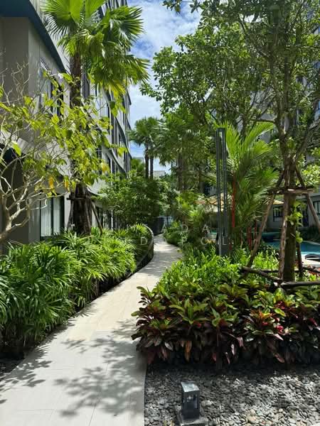 DCondo Reef, Phuket, 78 Soi Dara, Kathu, Phuket, 1 Bedroom, 28 sqm, Condo For Rent, by Witada Jindapol, 500446174 - DDproperty.com