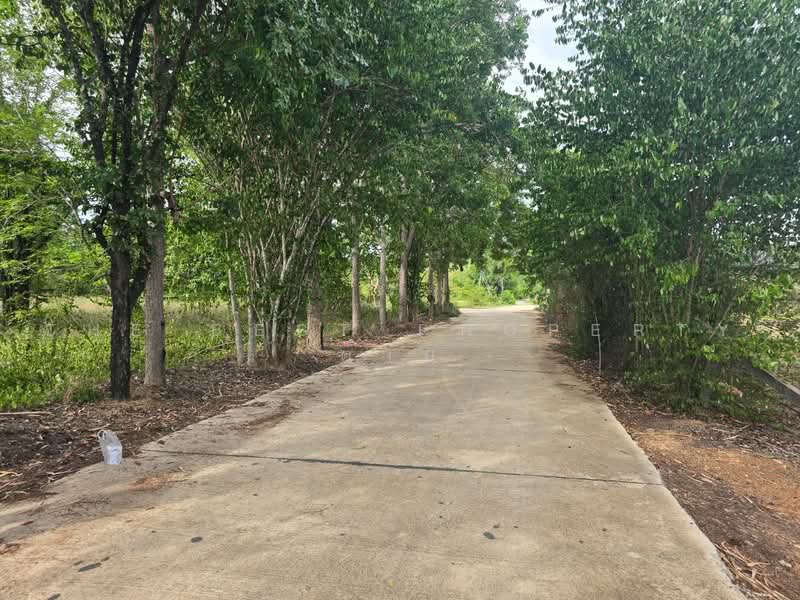 ที่ดินแก่งกระจาน เพชรบุรี, เพชรบุรี, แก่งกระจาน, เพชรบุรี, 8,833 ตร.ม., Land ขาย, โดย The Best Property ต่าย, 500446200 - DDproperty.com