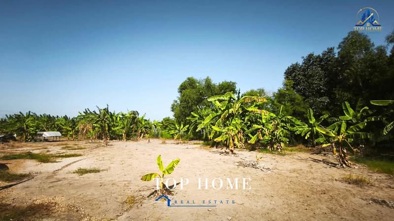 ขายที่ดินจัดสรรแปลงสวย ถมแล้ว 150 ตร.ว ตำบลบางเตย อำเภอสามโคก จังหวัดปทุมธานี, ปทุมธานี, บางเตย, สามโคก, ปทุมธานี, 600 ตร.ม., ที่ดิน ขาย, โดย คุณนับ, 500446213 - DDproperty.com