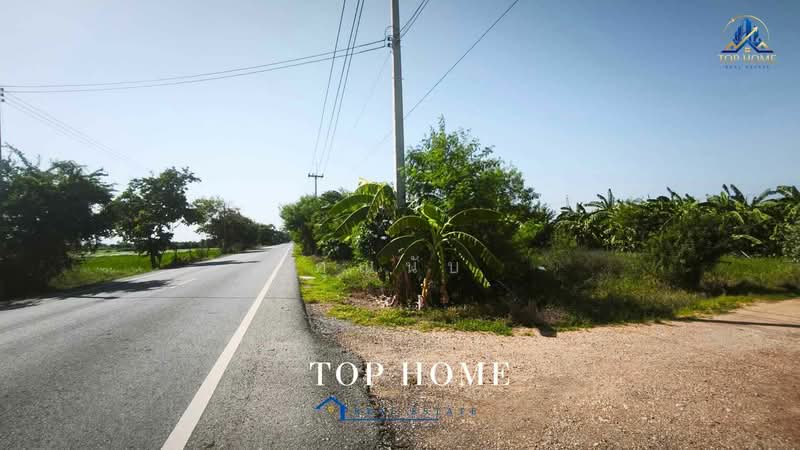 ขายที่ดินจัดสรรแปลงสวย ถมแล้ว 150 ตร.ว ตำบลบางเตย อำเภอสามโคก จังหวัดปทุมธานี, ปทุมธานี, บางเตย, สามโคก, ปทุมธานี, 600 ตร.ม., ที่ดิน ขาย, โดย คุณนับ, 500446213 - DDproperty.com