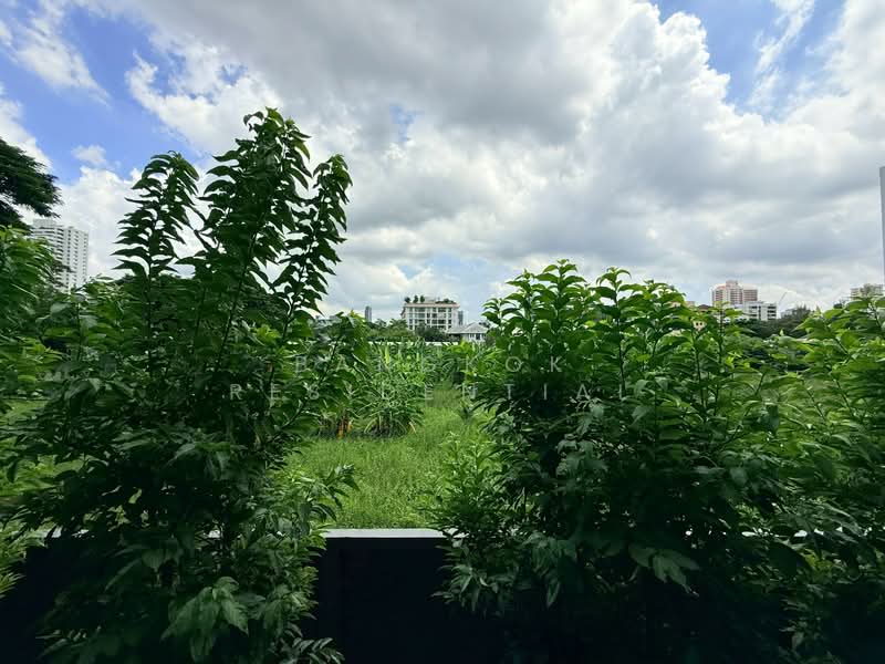 Raveevan Space : รวีวรรณ สเปซ, กรุงเทพ, ซอย สุขุมวิท 39, คลองตันเหนือ, วัฒนา, กรุงเทพ, 260 ตร.ม., อพาร์ทเมนท์ ให้เช่า, โดย Bangkok Residential, 500446267 - DDproperty.com