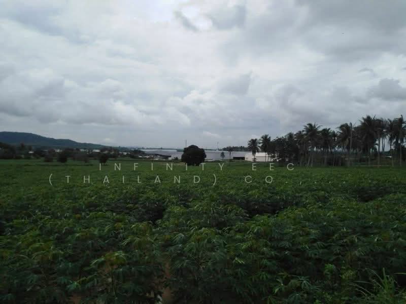 หนองขาม, ชลบุรี, หนองขาม, ศรีราชา, ชลบุรี, 172,800 ตร.ม., ที่ดิน ขาย, โดย Infinity EEC (Thailand) Co., Ltd., 500446312 - DDproperty.com