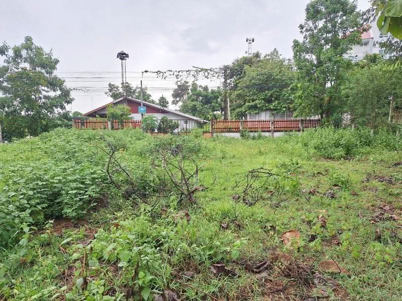 ที่ดินชุมแพ ขอนแก่น, ขอนแก่น, หนองไผ่, ชุมแพ, ขอนแก่น, 5,536 ตร.ม., ที่ดิน ขาย, โดย The Best Property นก, 500446313 - DDproperty.com