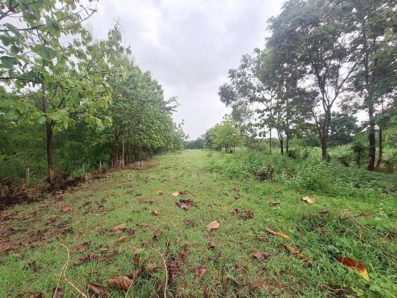 ที่ดินชุมแพ ขอนแก่น, ขอนแก่น, หนองไผ่, ชุมแพ, ขอนแก่น, 5,536 ตร.ม., ที่ดิน ขาย, โดย The Best Property นก, 500446313 - DDproperty.com