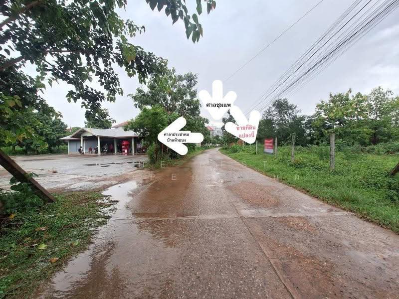 ที่ดินชุมแพ ขอนแก่น, ขอนแก่น, หนองไผ่, ชุมแพ, ขอนแก่น, 5,536 ตร.ม., ที่ดิน ขาย, โดย The Best Property นก, 500446313 - DDproperty.com