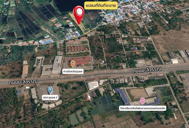 ที่ดินชุมแพ ขอนแก่น, ขอนแก่น, หนองไผ่, ชุมแพ, ขอนแก่น, 5,536 ตร.ม., ที่ดิน ขาย, โดย The Best Property นก, 500446313 - DDproperty.com