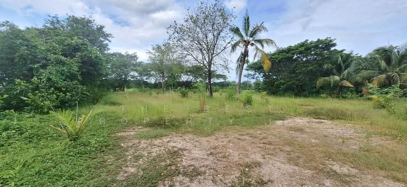 ที่ดินปากนคร นครศรีธรรมราช, Nakhon Si Thammarat, Pak Nakhon, Muang Nakhon Sri Thammarat, Nakhon Si Thammarat, , 1,665 sqm, Land For Sale, by The Best Property เบล, 500446356 - DDproperty.com