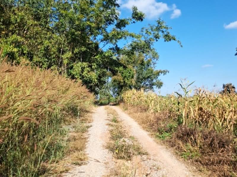 ที่ดินแม่ลาว เชียงราย, เชียงราย, โป่งแพร่, แม่ลาว, เชียงราย, 2,852 ตร.ม., ที่ดิน ขาย, โดย The Best Property ไนล์, 500446476 - DDproperty.com