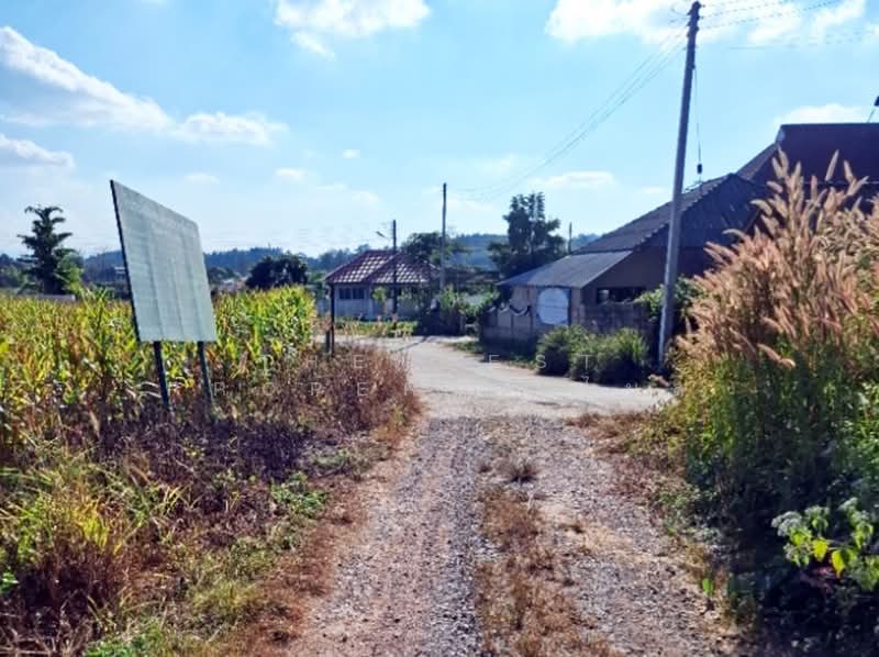 ที่ดินแม่ลาว เชียงราย, Chiang Rai, Pong Phrae, Mae Lao, Chiang Rai, , 2,852 sqm, Land For Sale, by The Best Property ไนล์, 500446476 - DDproperty.com