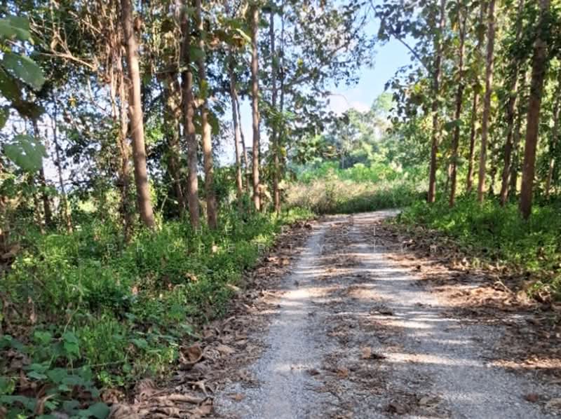 ที่ดินแม่ลาว เชียงราย, เชียงราย, โป่งแพร่, แม่ลาว, เชียงราย, 2,852 ตร.ม., ที่ดิน ขาย, โดย The Best Property ไนล์, 500446476 - DDproperty.com