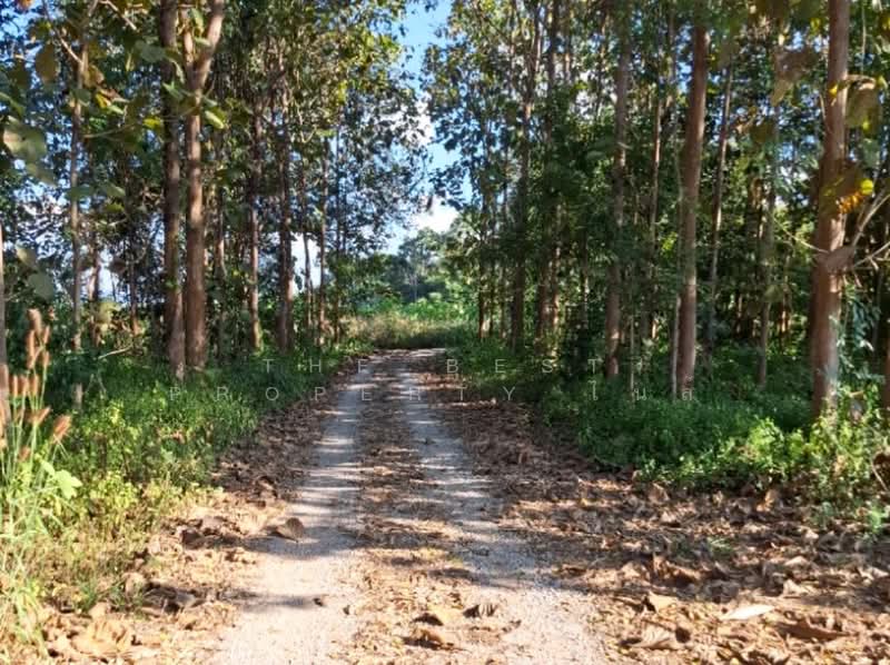 ที่ดินแม่ลาว เชียงราย, เชียงราย, โป่งแพร่, แม่ลาว, เชียงราย, 2,852 ตร.ม., ที่ดิน ขาย, โดย The Best Property ไนล์, 500446476 - DDproperty.com