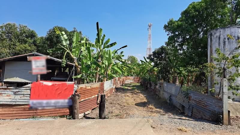 ที่ดินหนองบัว นครสวรรค์, Nakhon Sawan, Nong Klap, Nong Bua, Nakhon Sawan, , 1,900 sqm, Land For Sale, by The Best Property   เบ็นซ์, 500446523 - DDproperty.com
