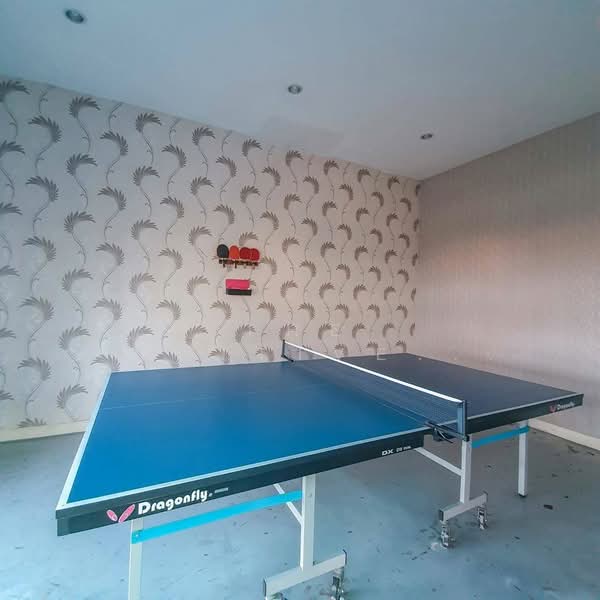 TRAMS Condominium : ทรัมส์ คอนโดมิเนียม, เชียงใหม่, ถนน เจ็ดยอด-ช่างเคี่ยน, ช้างเผือก, เมืองเชียงใหม่, เชียงใหม่, 40 ตร.ม., คอนโด ให้เช่า, โดย The Positive ที่ดิน บ้าน คอนโด, 500446532 - DDproperty.com